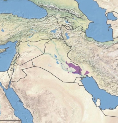 موقع اهوار بلاد الرافدين بين العراق وإيران.